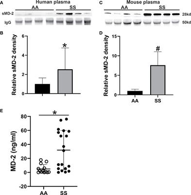 Soluble MD-2 and Heme in Sickle Cell Disease Plasma Promote Pro-Inflammatory Signaling in Endothelial Cells